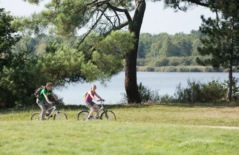 Circuit VTT – De la forêt de Lancosme aux étangs