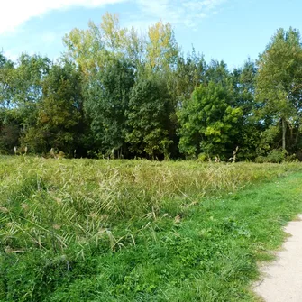 Espace naturel sensible du Grand Rozeau et des Près Blonds