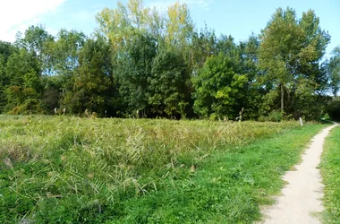 Espace naturel sensible du Grand Rozeau et des Près Blonds