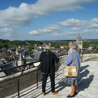 Visite libre de la terrasse de la Porte royale