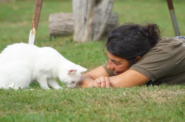 Rendez-vous en Terre Animale