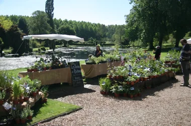 Marché aux plantes et produits du terroir