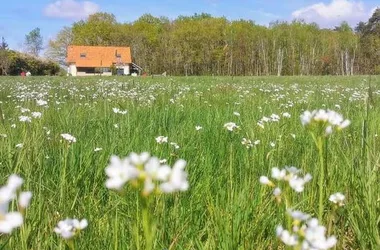 Gîte le Pti’ Fernin