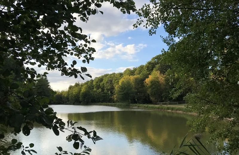 De Pisse Grenouille à Pampelune – Randonnée en Nord-Touraine