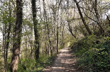 Sentier entre Loire et vignes