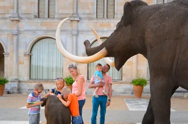 Visite guidée des collections 100 000 ans de Préhistoire en Touraine