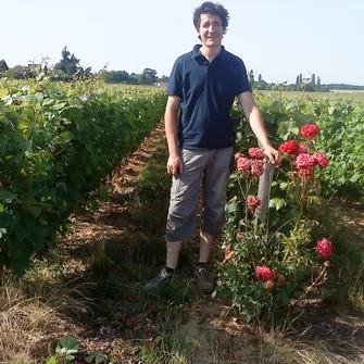 Domaine Nicolas Brunet