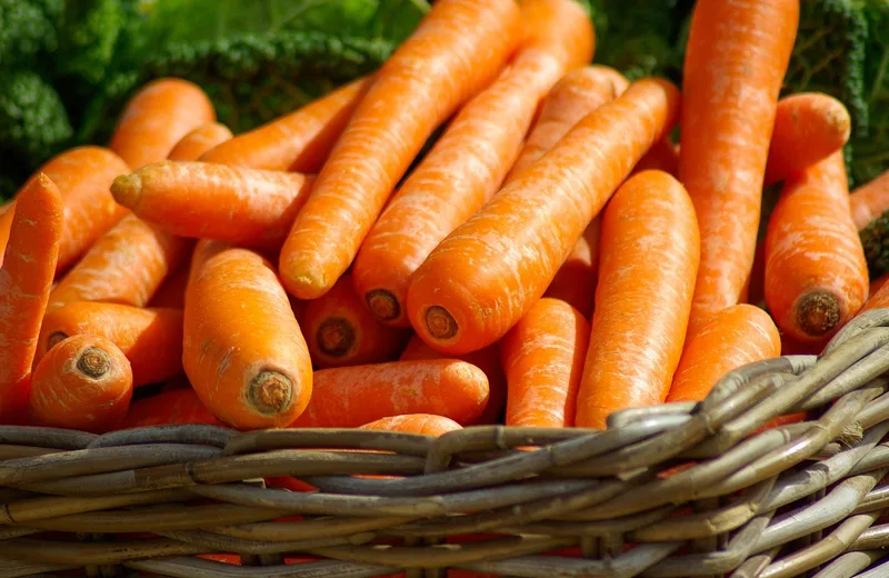 Marché Hebdomadaire Ivoy-le-pré Du 5 janv au 27 déc 2024