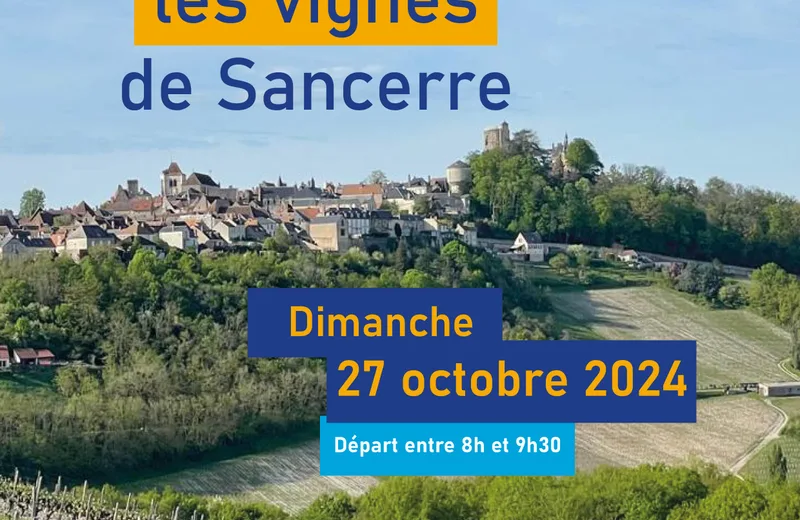 Marche dans les vignes de Sancerre Le 27 oct 2024