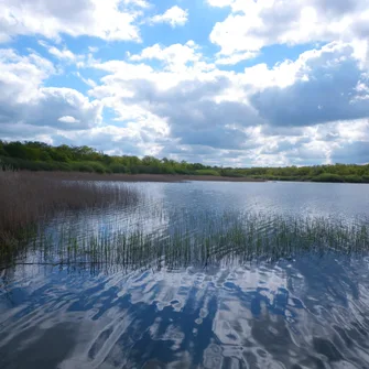 Espace naturel sensible de l’étang du Puits