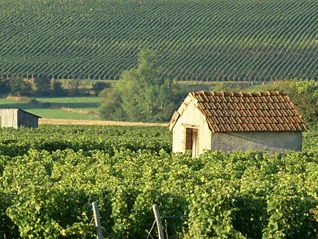 Route des Vignobles en Coeur de France