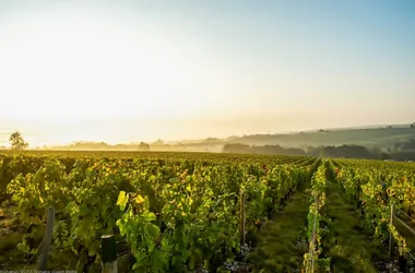 Route des Vignobles en Coeur de France