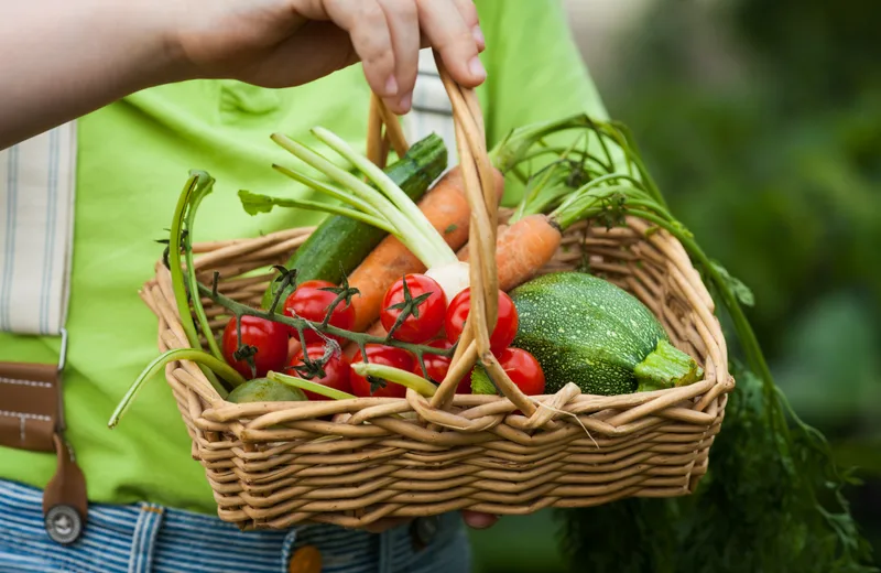 Marché Hebdomadaire Brinon-sur-Sauldre Du 7 janv au 29 déc 2024