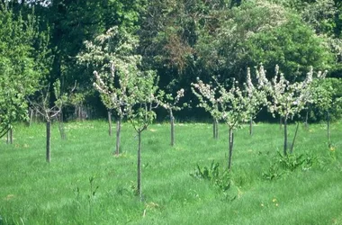 Les jardins de Chambon