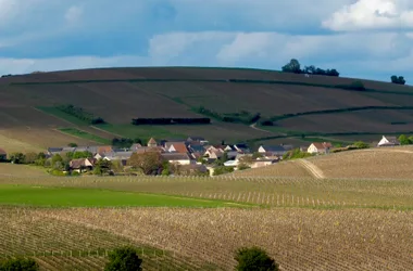 Happy Petit Senais Sancerre – Le Cottage