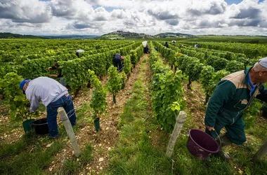 Domaine de la Garenne