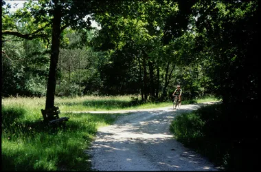 Circuit VTT – De la forêt de Lancosme aux étangs