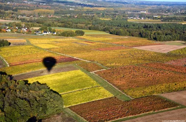 Les vignes de Touraine - Loire et Montgolfiere1