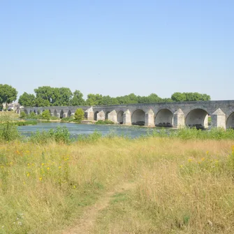 Espace naturel sensible les Rives de Beaugency