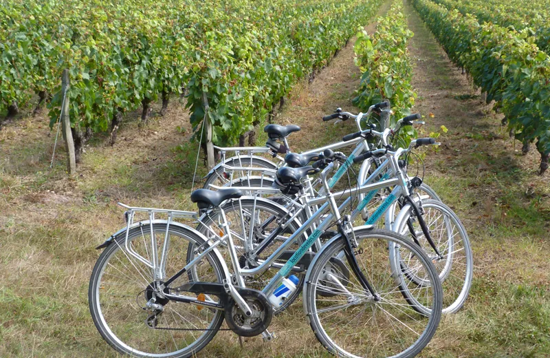 L’Echappée à vélo de la Fête des vendanges de Cheverny