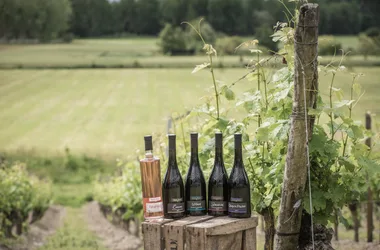 Gourmandises en Loire avec Stéphanie du Domaine de la Rodaie.