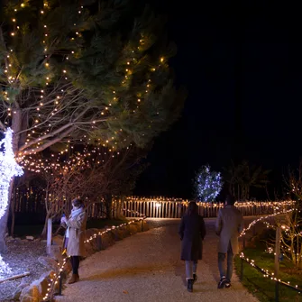 Noël au ZooParc de Beauval