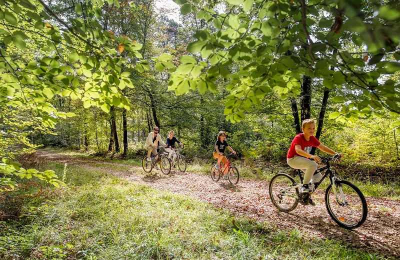 Forêt domaniale de Loches-cyclo-loches-valdeloire