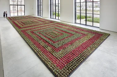 Ghada Amer, Cactus Painting - CCCOD, Olivier Debré Contemporary Art Centre
