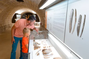 Visite guidée des collections 100 000 ans de Préhistoire en Touraine