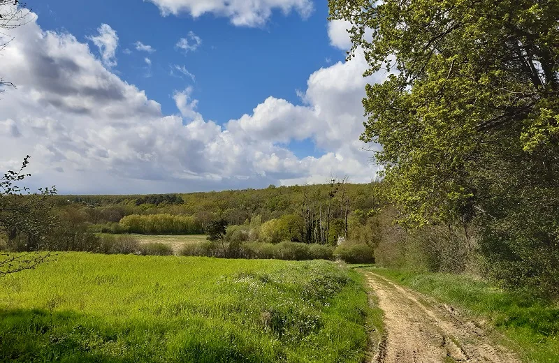 Entre osier et troglos