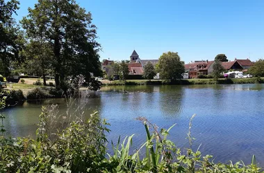 Des rives du Lac à la Chartreuse