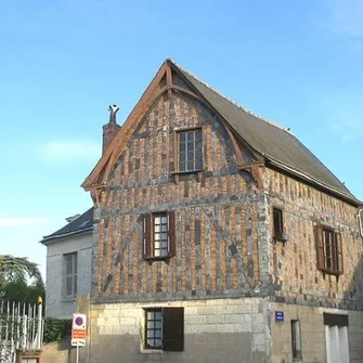 L’Iris des Marais