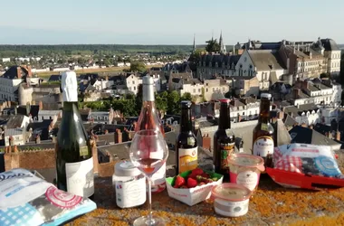 Sélection France Terroir vue sur le Chateau de Blois