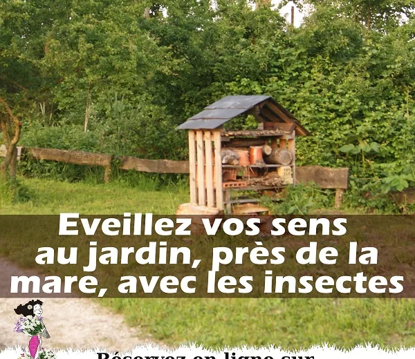 Atelier découverte : Vos sens en éveil au jardin Le 23 oct 2024