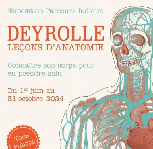 Exposition Deyrolle leçons d