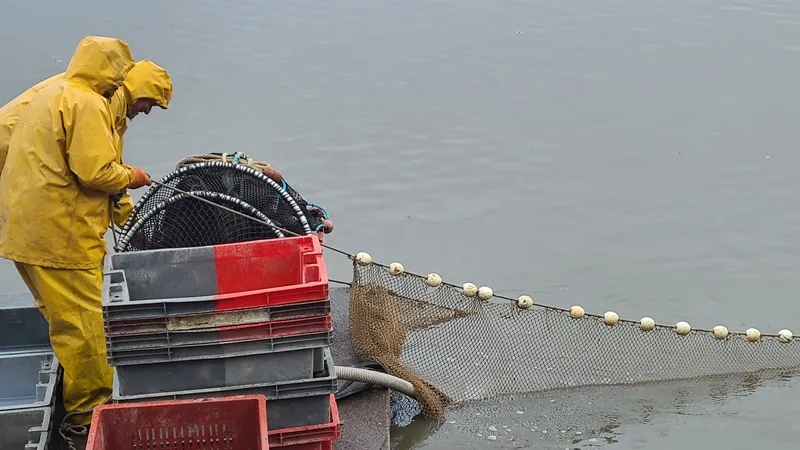 Découverte commentée d’une pêche d’étang