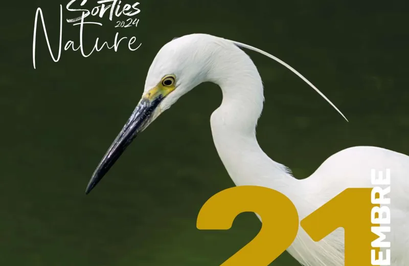 Les oiseaux de la Loire Le 21 sept 2024