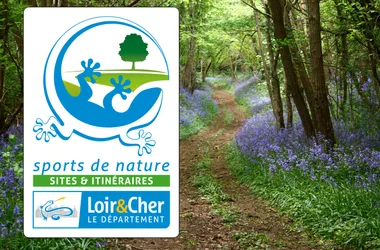 logo-tourisme-de-nature-sites-et-itineraires-chemin-forestier