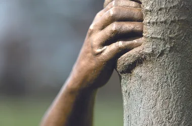 Saison d’art 2024 au Domaine Régional de Chaumont