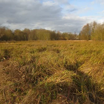 Espace naturel sensible du Grand Rozeau et des Près Blonds