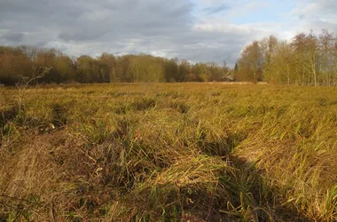 Espace naturel sensible du Grand Rozeau et des Près Blonds