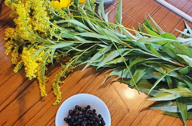 Atelier- de la plante à la peinture