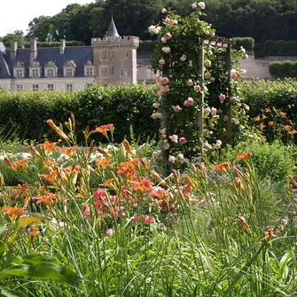 Le Petit Villandry