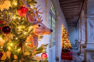 A Noël la nature s’invite au château !