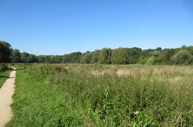 Espace naturel sensible du Grand Rozeau et des Près Blonds