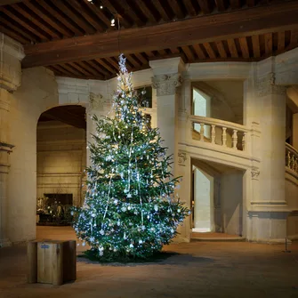 Noël à Chambord – Spectacle « Le Prince et le Bossu »