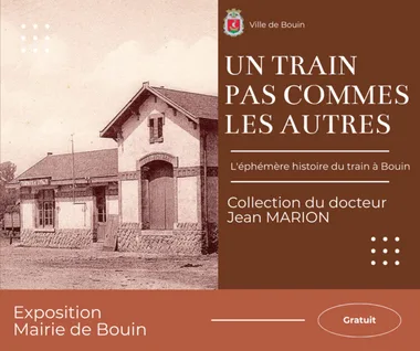 UNE BRÈVE HISTOIRE DE TRAIN