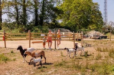 Animal farm Camping Le Bois Joli Vendée ****