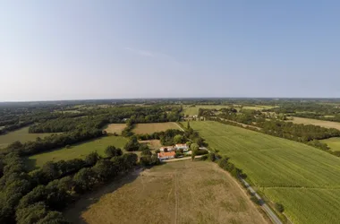 DOMAINE DES COUTELLERIES : LES CHEVREUILS