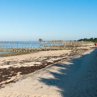 La dune du Collet